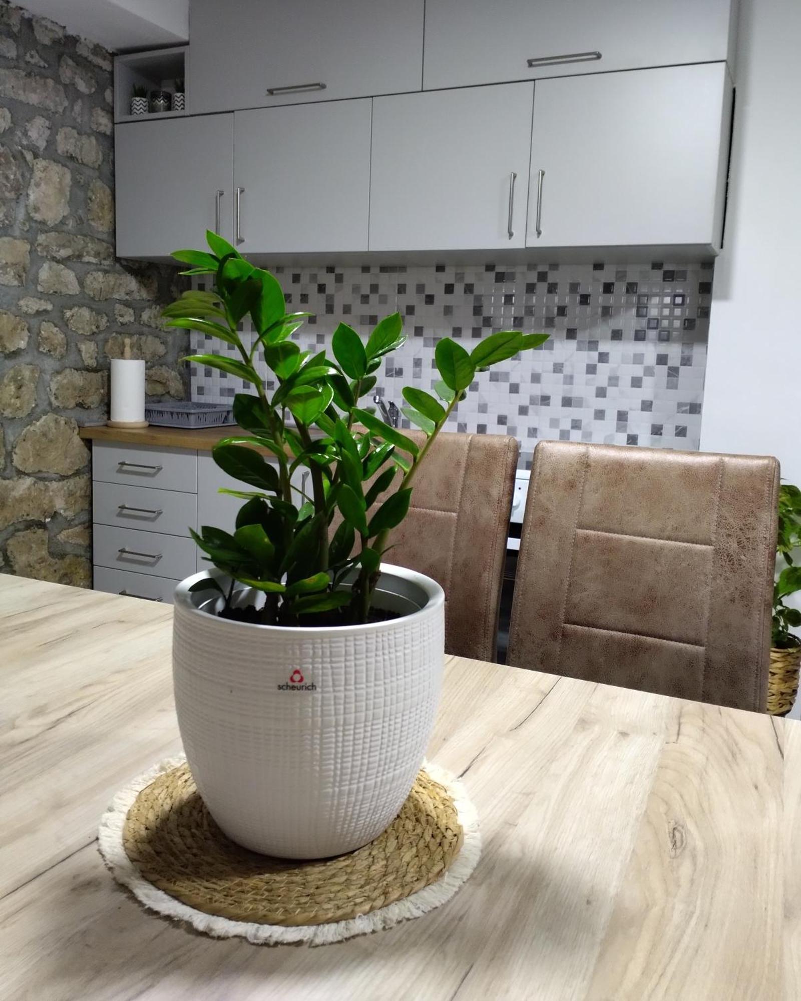 Apartmani Dumezic Bar Quarto foto